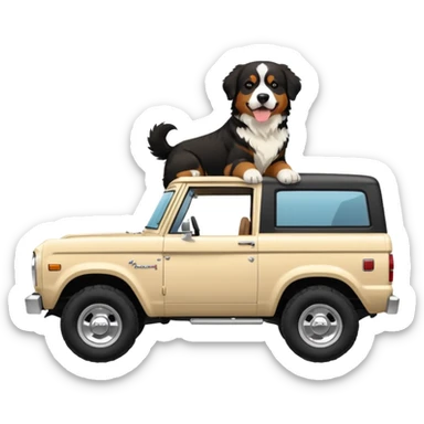 Cream colored ford bronco with no roof and an adult Bernese mountain dog in the seat sticker