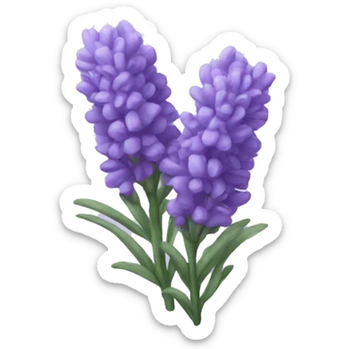 Lavender  sticker