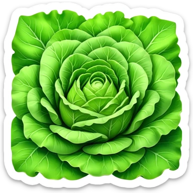 Cinematic crisp green lettuce, fresh and leafy, slightly curled edges, detailed textures, vibrant and refreshing, ultra-realistic and inviting. sticker