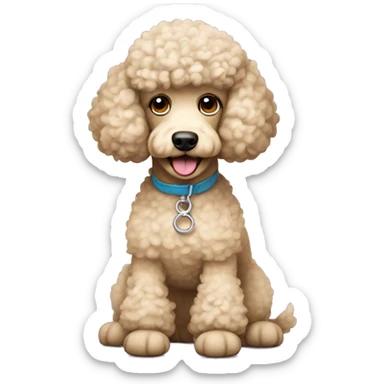 Beige poodle dog with a white stomach wearing crocs sticker