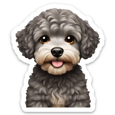 Dog maltipoo dark grey/brown fur sticker