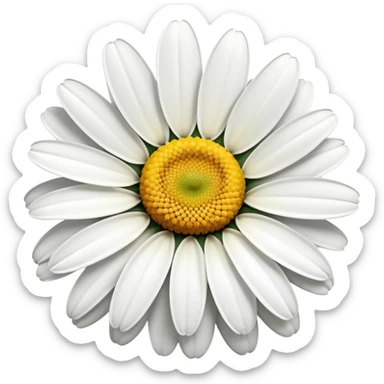 vibrant daisy flower with yellow center sticker