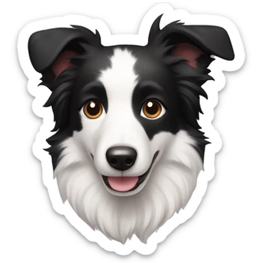 A cute Border Collie with black ears, only has black and white hair sticker