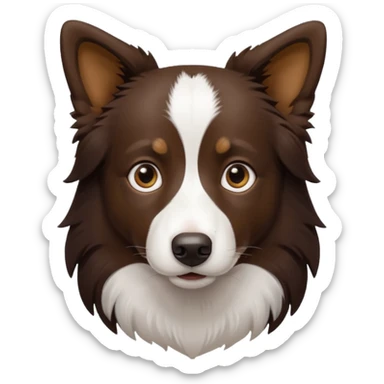 Border collie de cuerpo café oscuro y pecho blanco  sticker