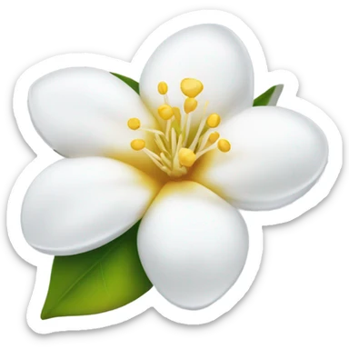 Jasmine sticker