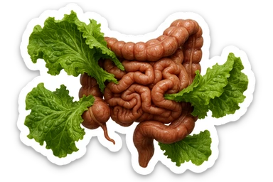 foglie di insalata che attaccano un intestino anatomico umano per distruggerlo, iperrealistico sticker