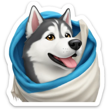 Perro Siberian husky envuelto en una manta  sticker