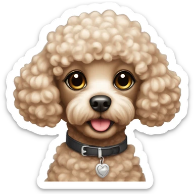 Toy poodle with make up sticker
