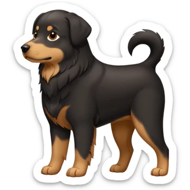 Chien noir avec poitrine et patte avant droite blanche sticker