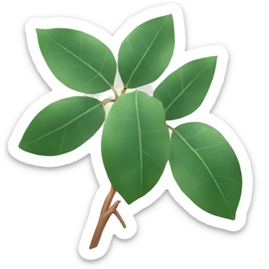 branch of eucalyptus leaves sticker