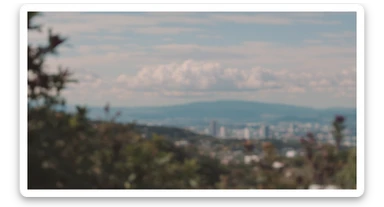 A cinemaatic still of a city, blurred plants in the foreground, shale fly above city sky, rolling hills in the background, cinematic depth of field, layered composition, natural lighting sticker