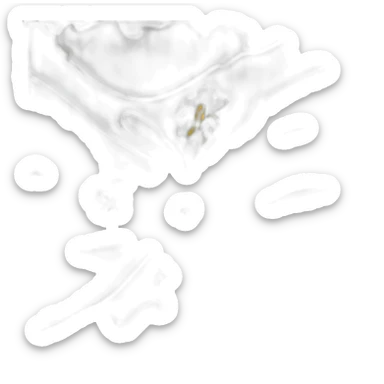 Drapeau de l’île corse en France sticker