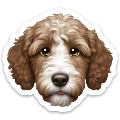 dark brown goldendoodle puppy white patch near nose and top of head sticker