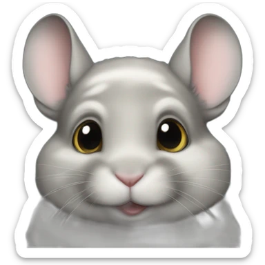 British chinchilla gold sticker