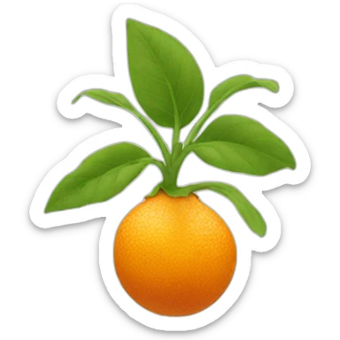 orange ginger root sticker