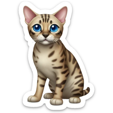 Seal Bengal cat with Blue eyes standing sticker