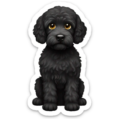 Black labradoodle sticker