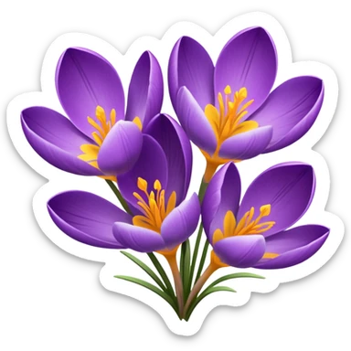 crocus flowers sticker