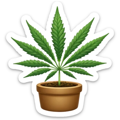 Cannabis sticker