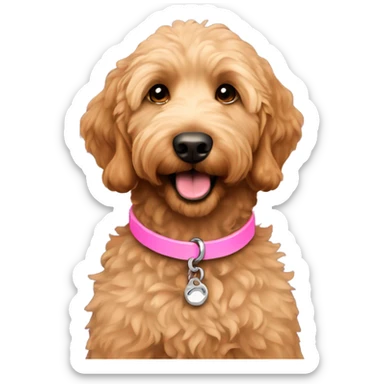 Mini brown female golden doodle pink collar sticker