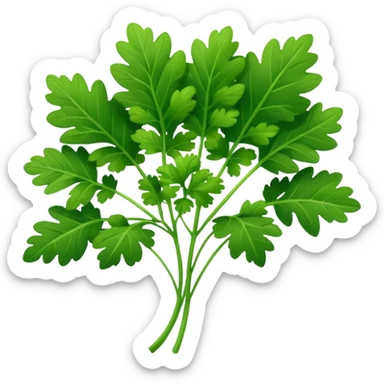 cilantro sticker
