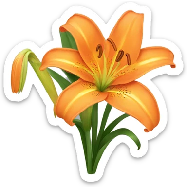 An orange Lilly flower  sticker