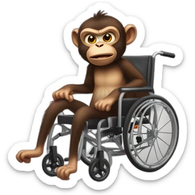 Very angry monkey with small ferocious rollins eyes rides cute wheelchair sticker