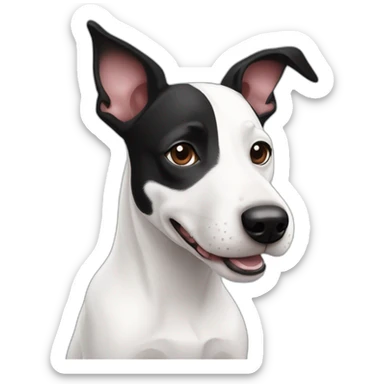 Black and white mix of a jack russel and a bullterrier with raised ears sticker