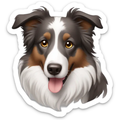 Brown eyes gray colour Border collie sticker