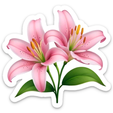 couple of lily flowers with baby pink sticker