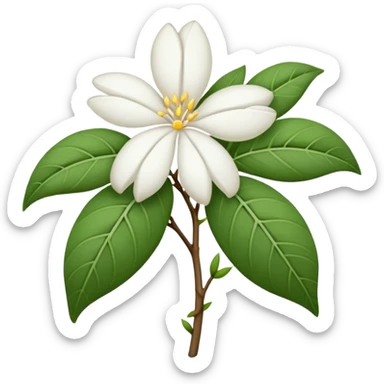 wilted indian jasmine without leaves in emoji format sticker