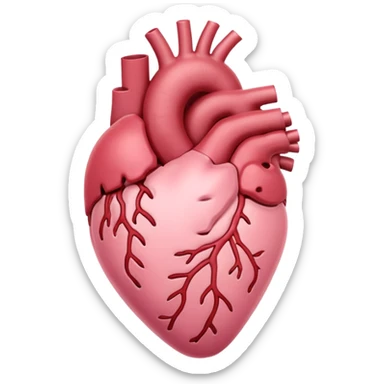 anatomic heart, light pink, variation 4 sticker