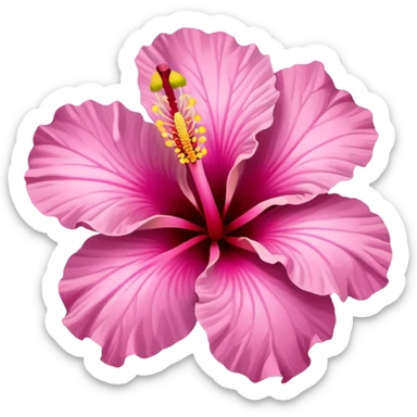 pink hibiscus flower  sticker