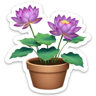 flower pot Purple Lotus,stem, Lotus leaf, bunch sticker