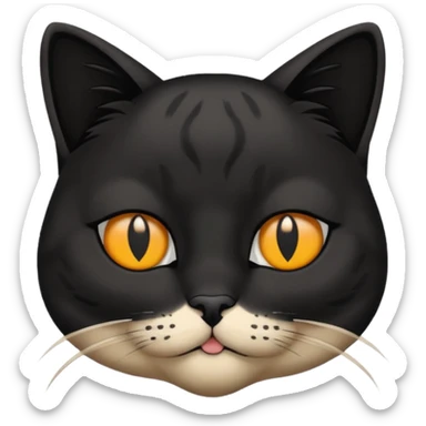 gato con mechon negro tapando un ojo sticker