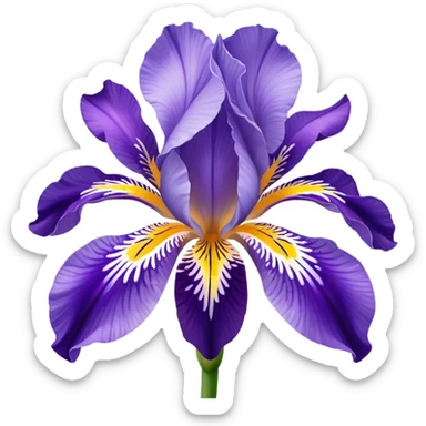 Croatian iris flower iconic  sticker