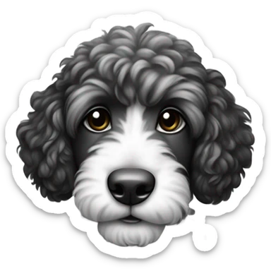 Spanish Water Doodle black and white puppy sticker