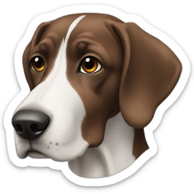 Pointers sticker