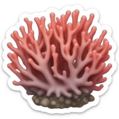 coral sticker