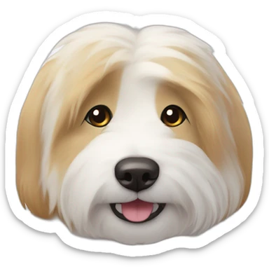 1 coton de tulear and 1 corgy sticker