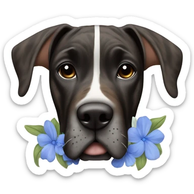 Brindle black and brown striped Great Dane with blue blossoms sticker