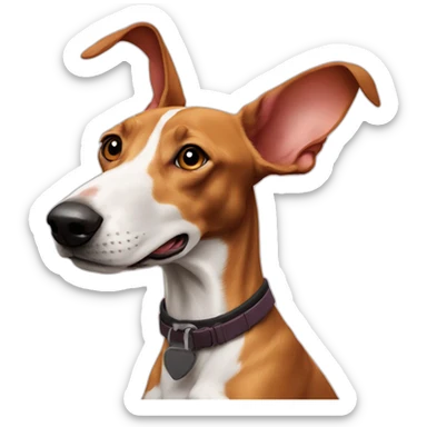 Podenco soñando con un conejo sticker