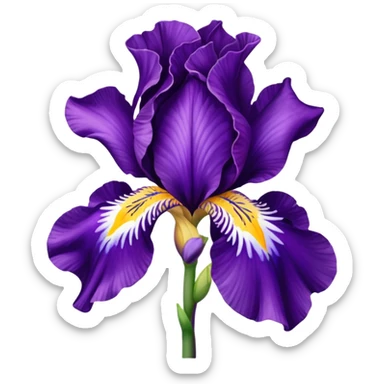 Fleur iris violette sticker