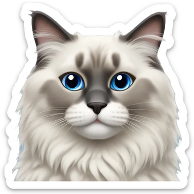 Fluffy bluepoint ragdoll cat sticker