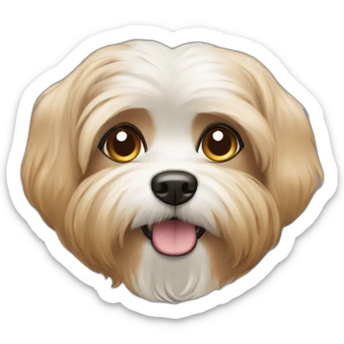 Maltese gold brown dog with brownier hairy face sticker
