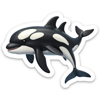 killer whale sticker