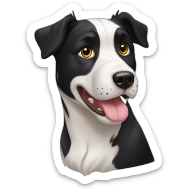 black-and-white-border-collie-american-bulldog sticker
