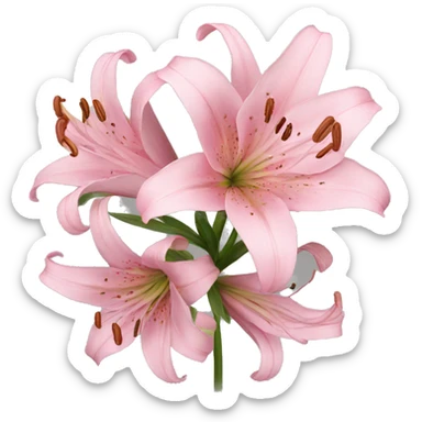 pink Lilies sticker