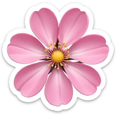 pink girly framed photo of a blossom sticker