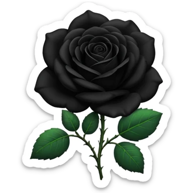 Rosa negra con hojas verdes sticker